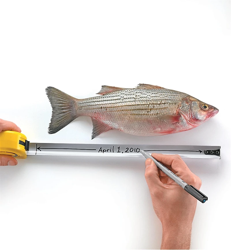 Ruban à mesurer vierge Story Tape de Lee Valley