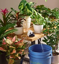 Indoor Watering System