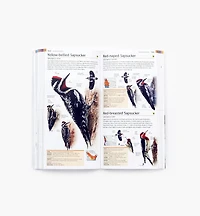 Pocket Birds of Canada, 2nd Edition