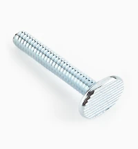 1/4-20 T-Bolts