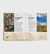 100 Plants to Feed the Birds