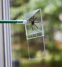 Bug Trapper
