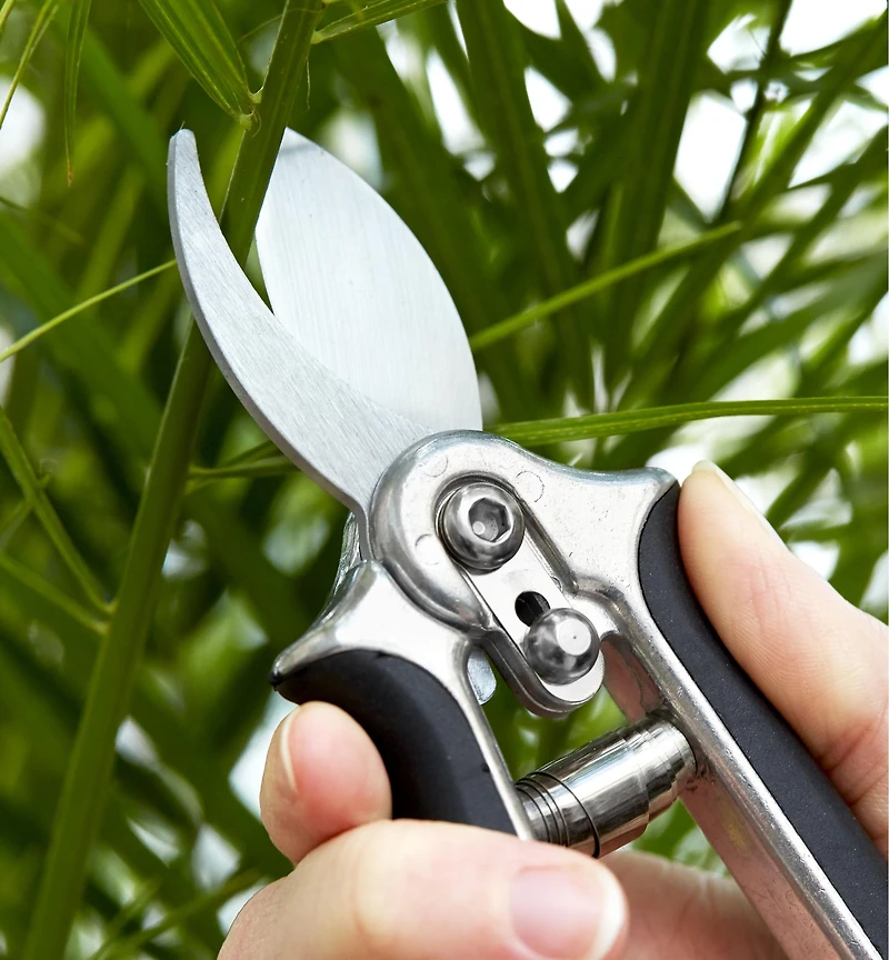 Pocket Pruner