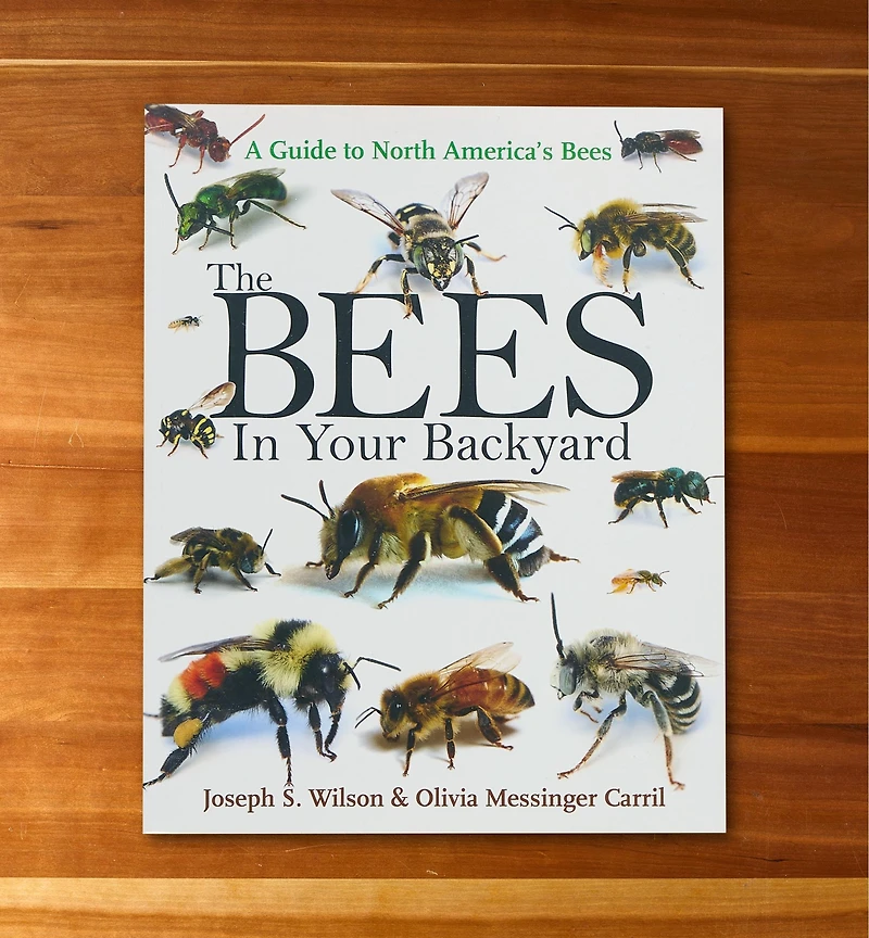 The Bees in Your Backyard