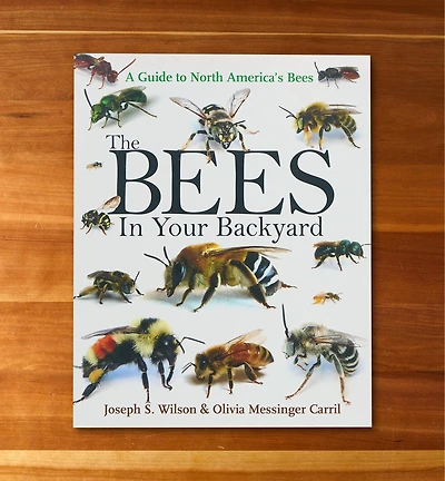 The Bees in Your Backyard