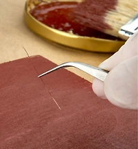 Set of 3 Forceps