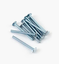 T-Bolts for Veritas T-Slot Tracks (5/16-18 Thread)