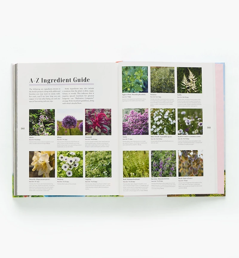 Floret Farm’s A Year in Flowers – Designing Gorgeous Arrangements for Every Season