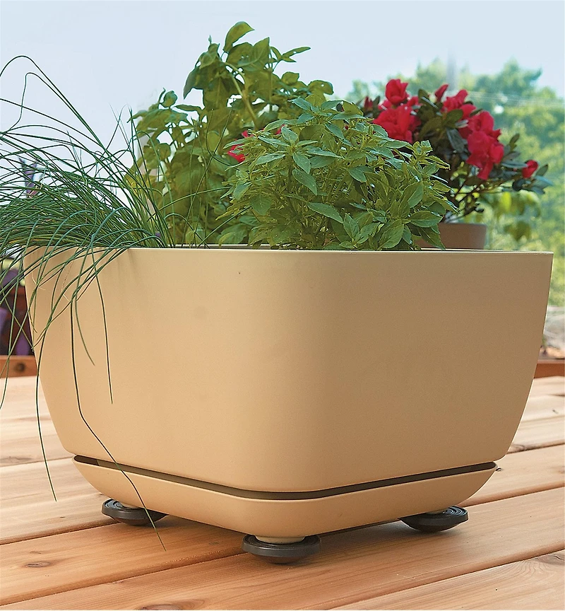 Coussinets pour pots à plante