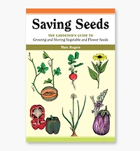 Saving Seeds