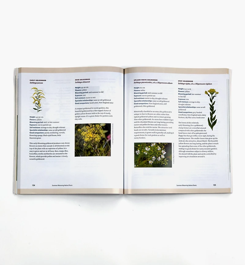 A Garden for the Rusty-Patched Bumblebee: Creating Habitat for Native Pollinators – Ontario and Great Lakes Edition