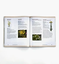 A Garden for the Rusty-Patched Bumblebee: Creating Habitat for Native Pollinators – Ontario and Great Lakes Edition