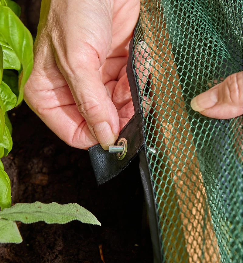 Dôme de jardin