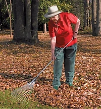 Adjustable Fan Rakes