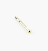 Brass-Plated Escutcheon Pins