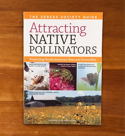 Attracting Native Pollinators