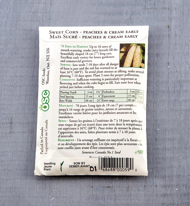 Sachet de semences de maïs OSC