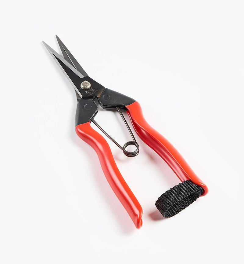 Garden Snips