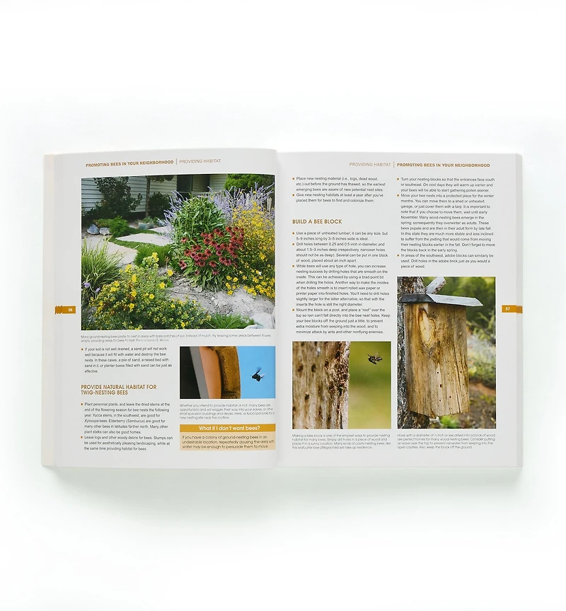 The Bees in Your Backyard