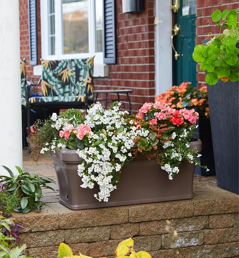 Self-Watering Planter