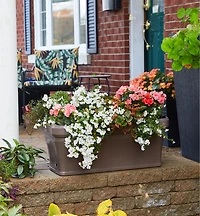 Self-Watering Planter