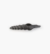 Whimsical Shell Pull