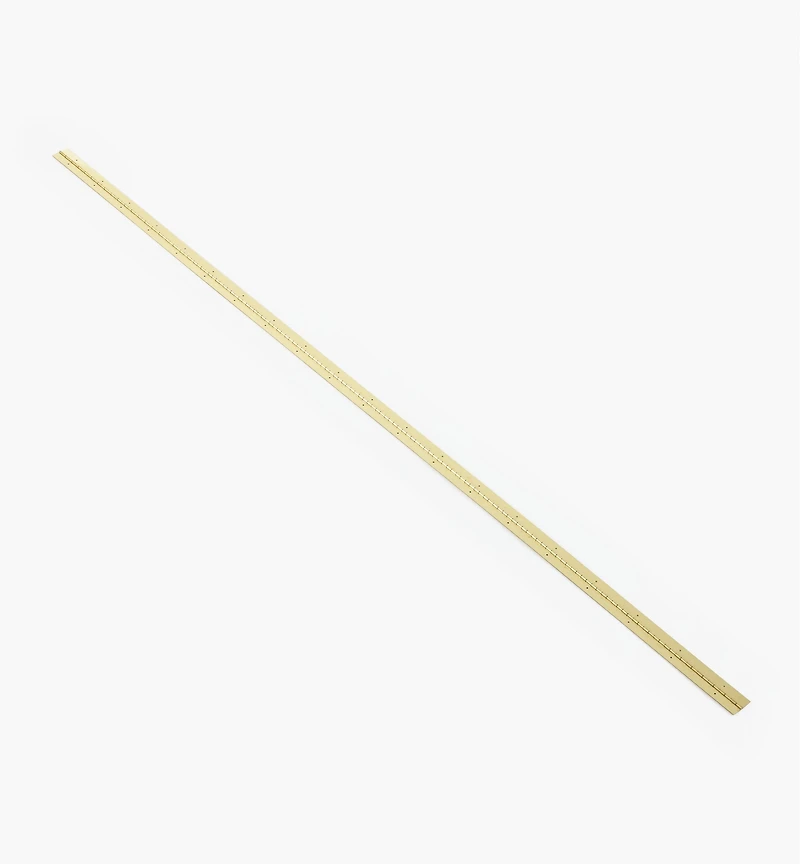 Pin-Hole Piano Hinges