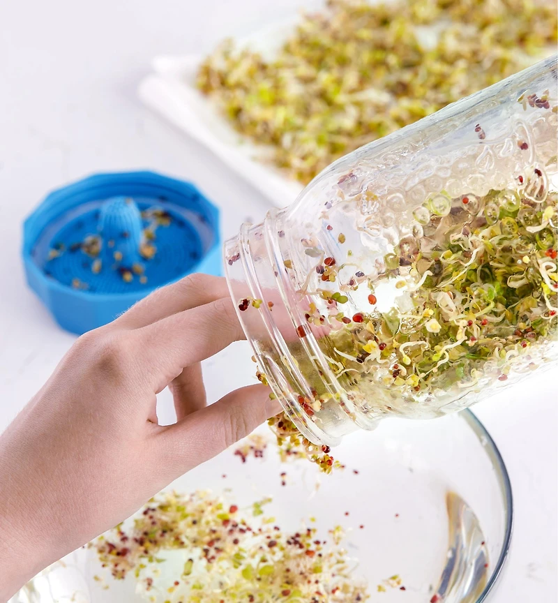 Couvercles de germination Bean Screen