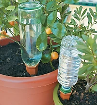 Watering Spikes