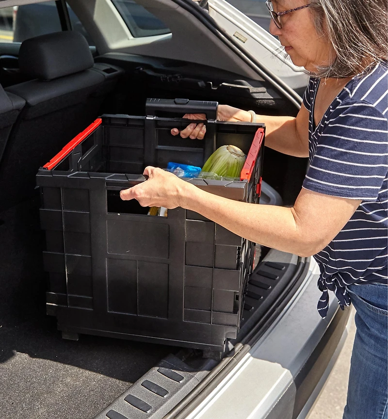 Collapsible Cart