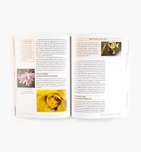 Attracting Native Pollinators