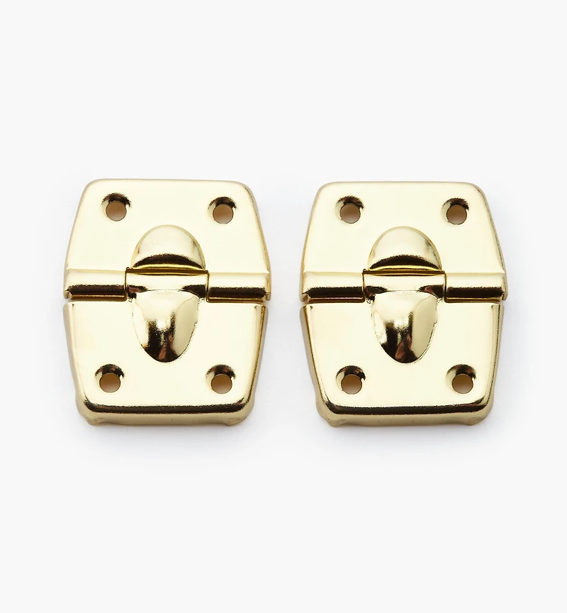 Case Hinges