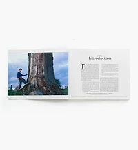 Ontario's Old-Growth Forests