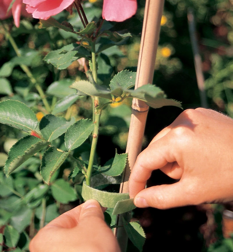 VELCRO® Plant Tie