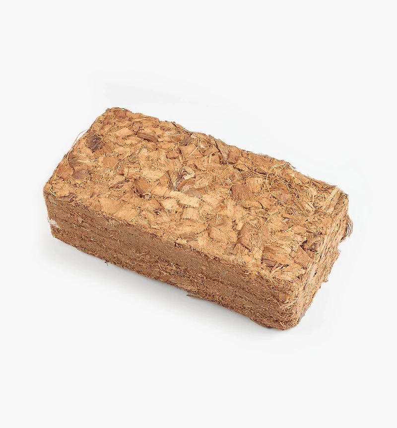Fragments d'écorce de noix de coco