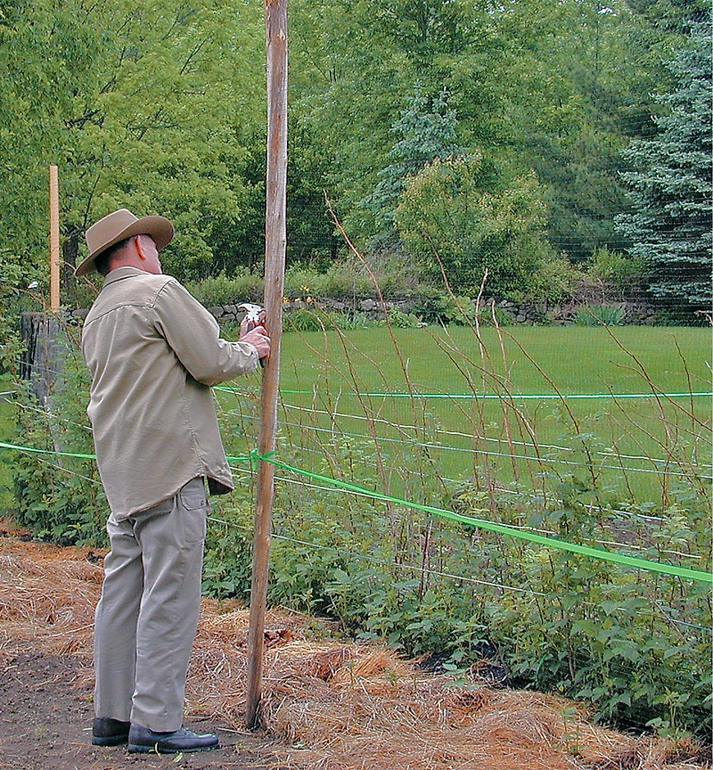 Deer Fence