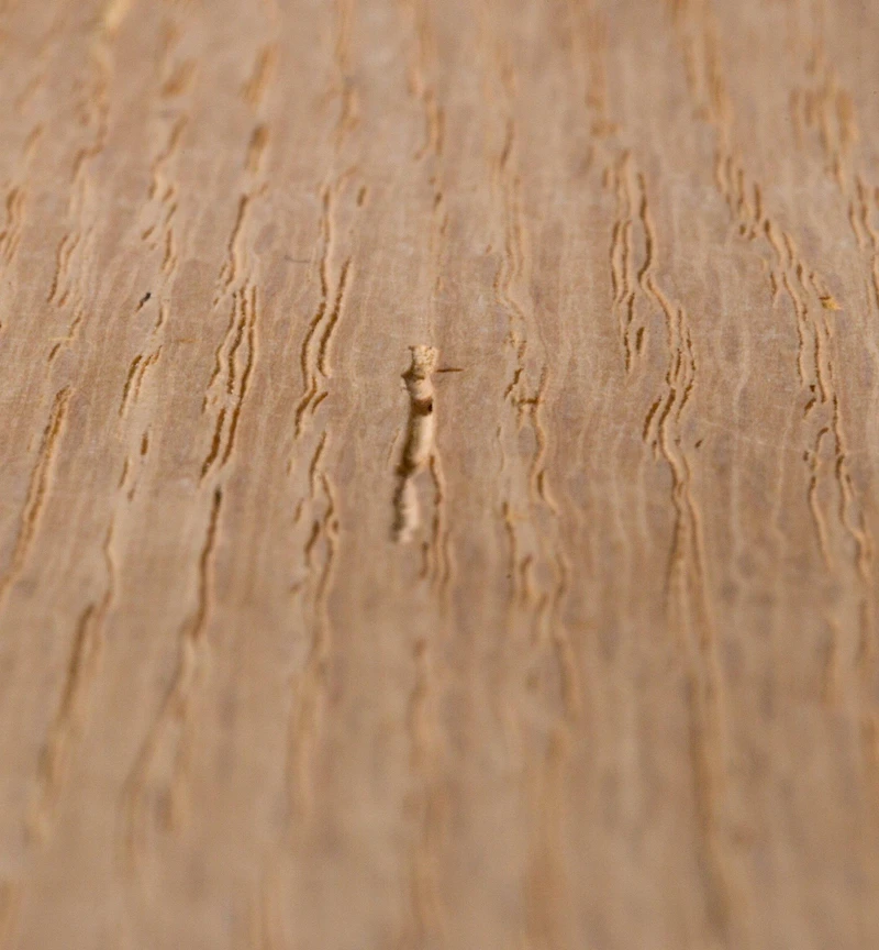 Aqua Coat Wood Grain Filler