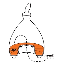 Piège à guêpes suspendu