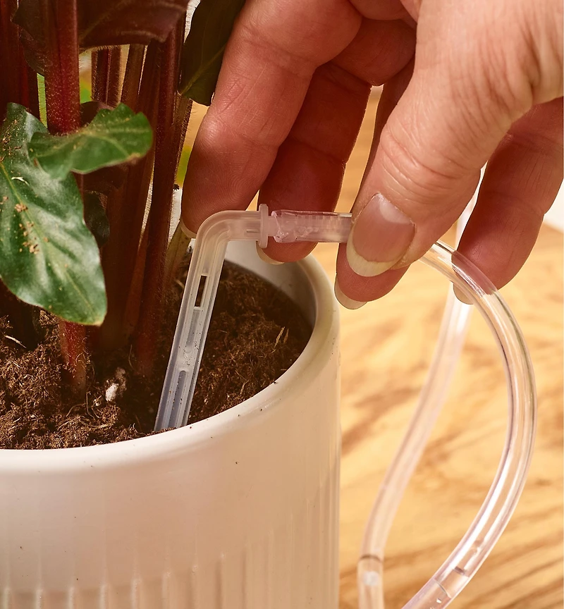 Indoor Watering System