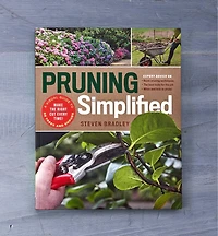 Pruning Simplified