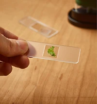 Pocket Microscope