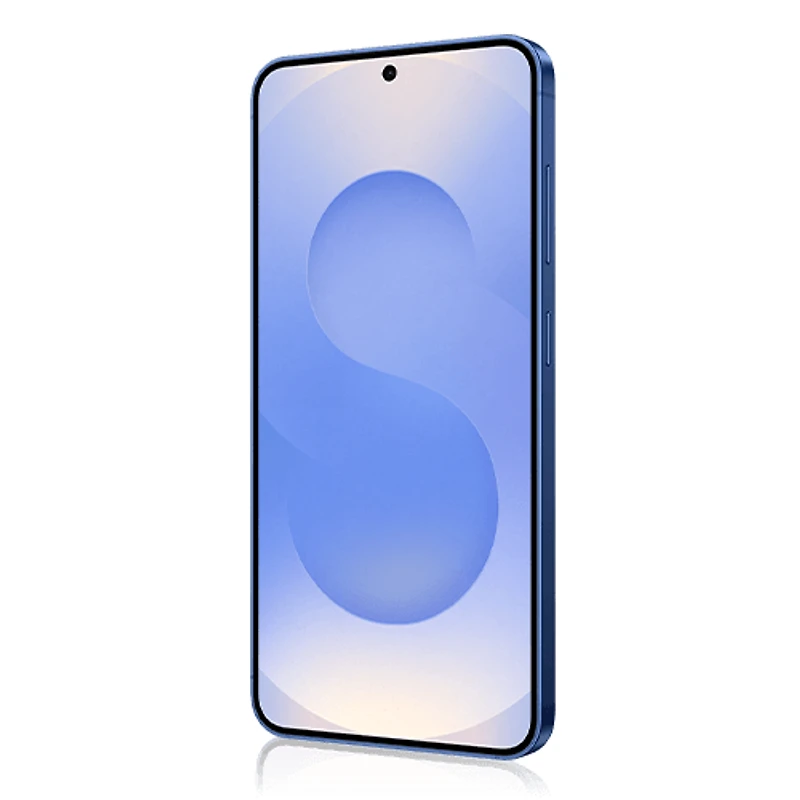 Samsung Galaxy S25