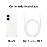 iPhone 17