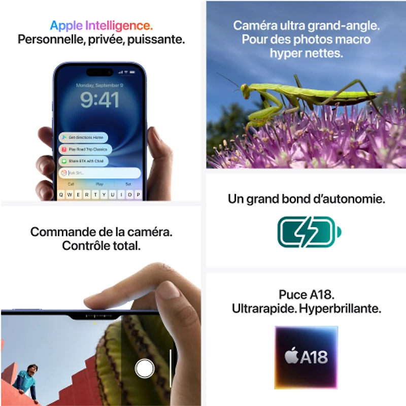 iPhone 16