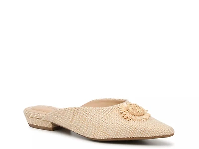 Shay Mule