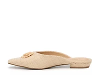 Shay Mule