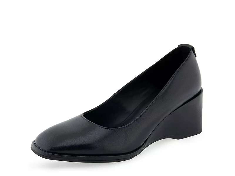 Aurora Wedge Pump