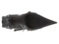 Cagole Bootie
