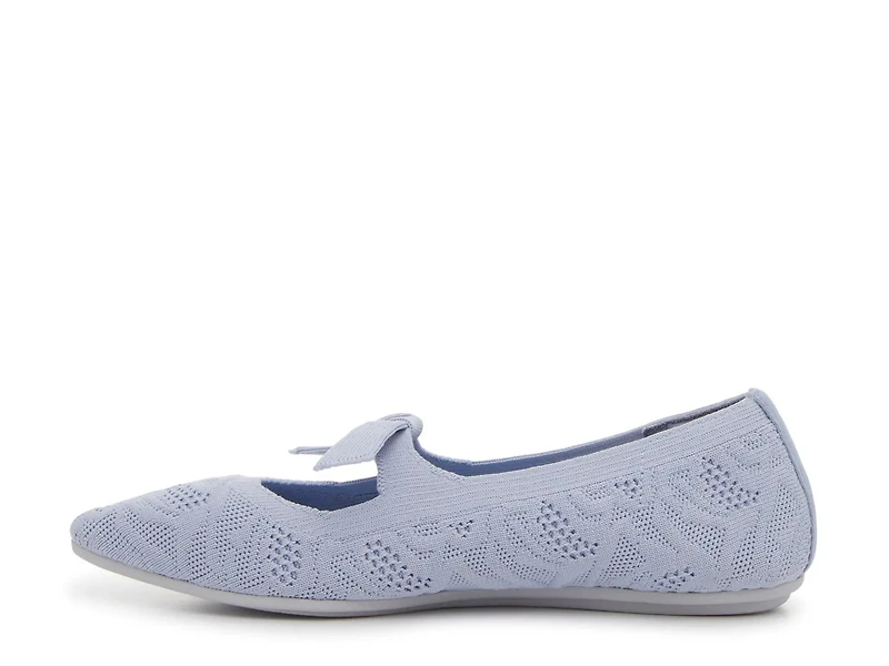 Cleo Point Mary Jane Ballet Flat