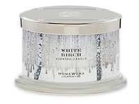 White Birch 18-oz. 4-Wick Candle